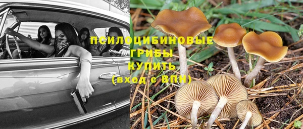 эйфоретик Верхний Тагил