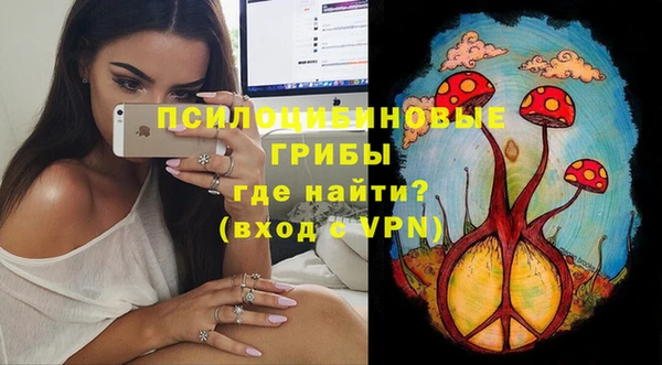 дживик Верея