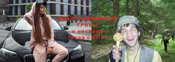 ГАЛЛЮЦИНОГЕННЫЕ ГРИБЫ Болхов