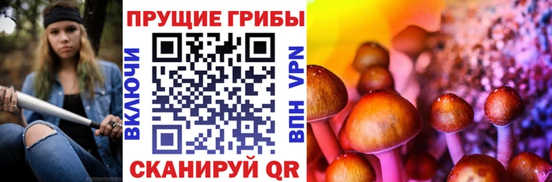 Галлюциногенные грибы Psilocybine cubensis  цена наркотик  Курильск 